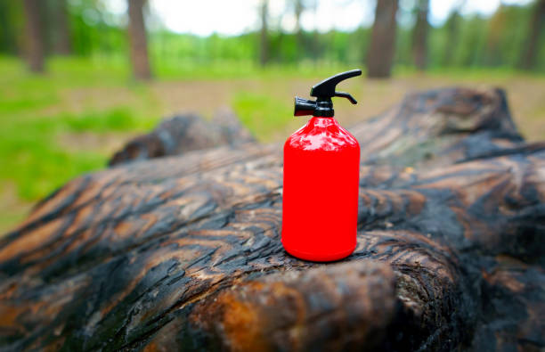 Miniature fire extinguisher placed on a charred tree stump against a forest background. Campfire safety concept.