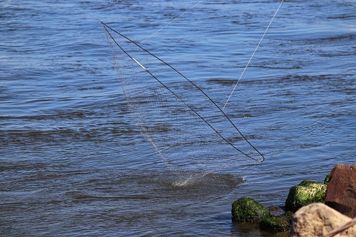Photograph of a fishing net.