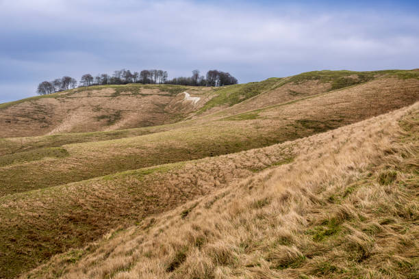 istock White Horse of Cherhill 1401945978
