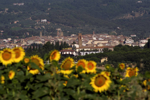 istock Fields of sunflowers. Italy 1401946883