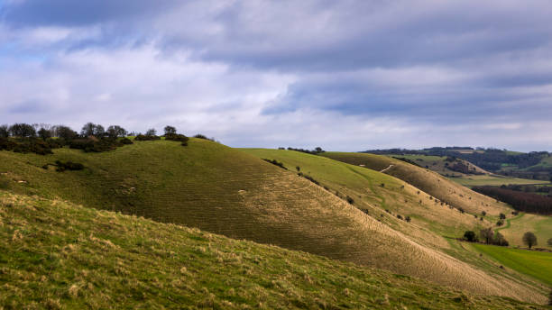 Knap hill Pewsey Downs View across Pewsey Downs from the top of Knap hill near Marlborough Wiltshire south west England ridgeway stock pictures, royalty-free photos & images