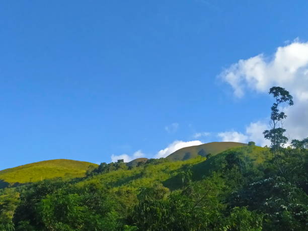 istock Brazilian landscape 1401947046