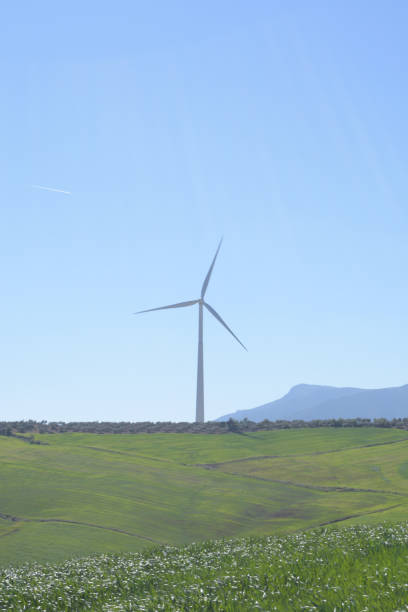 フィールドに青空を持つ晴れた日の再生可能エネルギーの風力タービン - eolo ストックフォトと画像