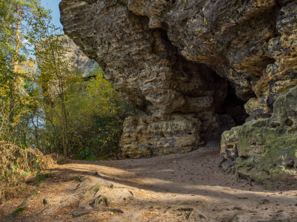 kaiserkrone en suisse saxonne - grotte, paroi rocheuse, forêt - cave fern flowing forest photos et images de collection