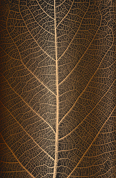 istock Distress tree leaves, leaflet texture on golden background. Black and white grunge background. 1401951814