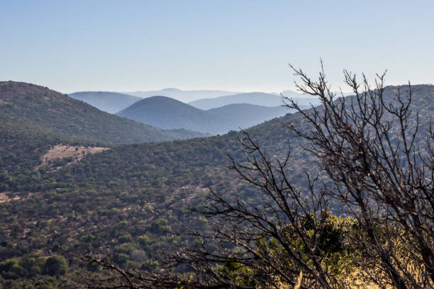Distant view of the blue, concentric ridges, which form the outer rings of the Vredefort Dome in South Africa. These high concentric ridges, which dominates the landscape formed about 2020 million years ago by an Asteroid impact. This is the largest known asteroid impact on earth bushveld photos stock pictures, royalty-free photos & images