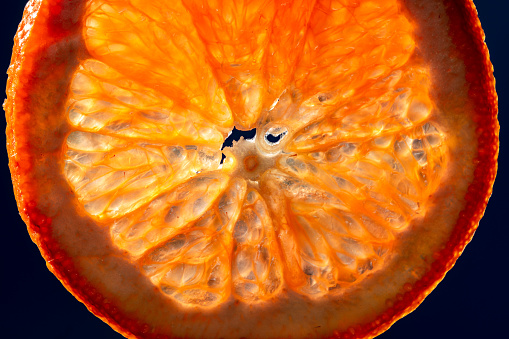 orange slice in backlight