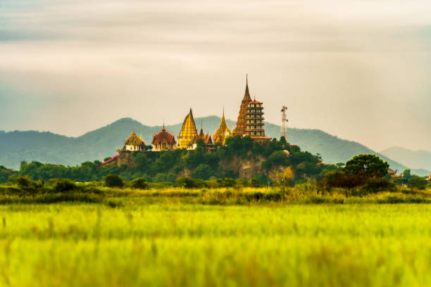 Join Suea Temple View of Tham Suea Temple, photographed through rice fields in the evening. wat tham sua stock pictures, royalty-free photos & images