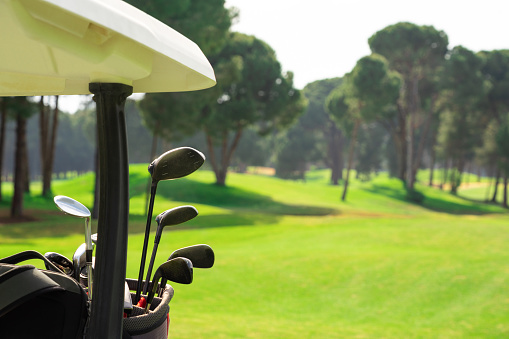 Set of golf clubs in golf bags in the back of a golf cart on beautiful golf course