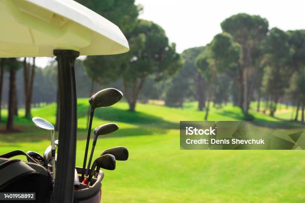 Set Of Golf Clubs In Golf Bags In The Back Of A Golf Cart On A Beautiful Golf Course With Pines Stock Photo - Download Image Now