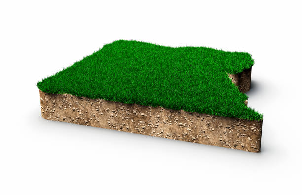 istock Egypt Map soil land geology cross section with green grass and Rock ground texture 3d illustration 1401961049