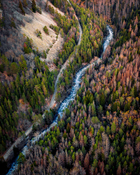 istock Top view of mountain road in forest with blue river 1401962554