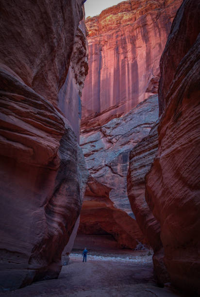 istock Hiker in slot canyon 1401964084