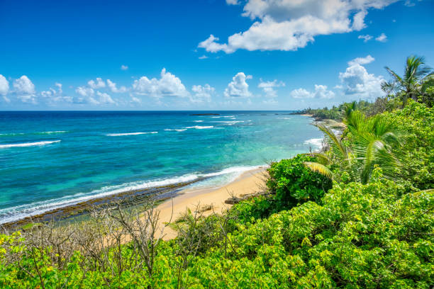 istock Puerto Rico Tropical Beach 1401964129