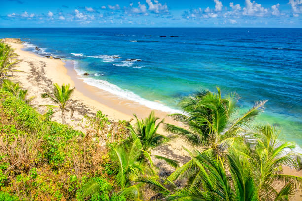 istock San Juan Puerto Rico Beach Palm Trees 1401964204