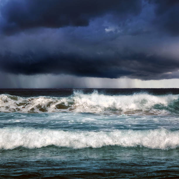 Turtle on black sand beach with wild waves