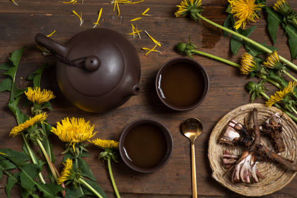 Two cups of dandelion tea with dandelion herb (leaf, flower and root) stock photo