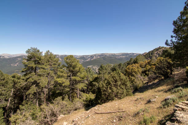 Trails with wonderful views of the Sierra De Cazorla, Spain. Nature tourism concept.