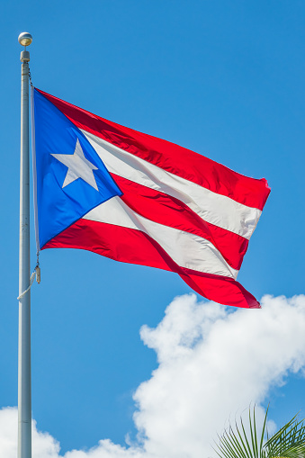 Chile flag waving on the flagpole on a sky background