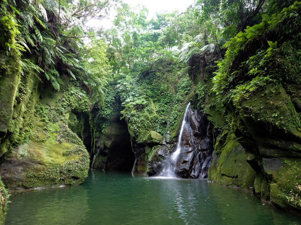 istock Small canyon waterfall in Taipei County 1401967847