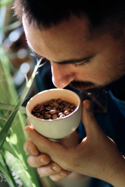 Barista smelling cup with coffee beans before making coffee on commercial coffee machine