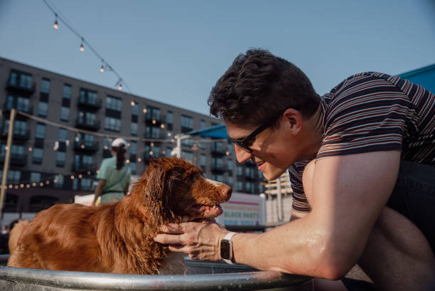 istock Urban Dog Park Play Time 1401969408