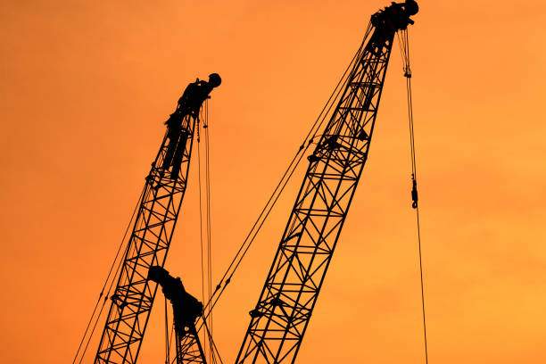 istock Silhouette of crane 1401969965