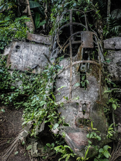 Crashed Japanese WW2 Zero fighter plane in Peleliu, Palau