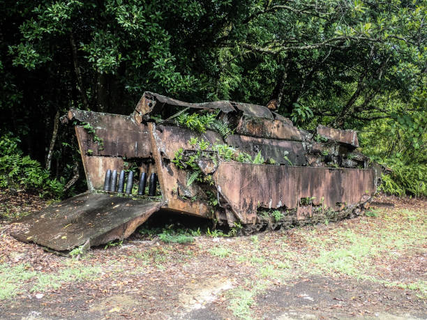 istock WW2 landing craft in Peleliu, Palau 1401970257