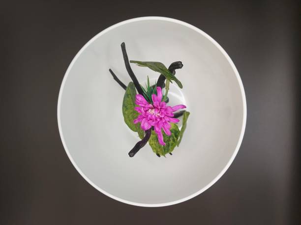 istock A flower and leaf on the background. 1401971080