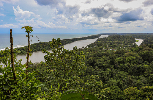 Tortuguero, Costa Rica.