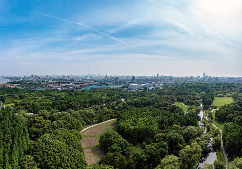 Aerial view of the Wetland Park in the city in Shanghai, China. The wetland park is surrounded by a large area of apartment buildings and business centers in the city