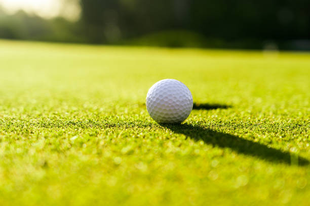 istock Golf ball on the green grass near hole on a golf course at sunset 1401980082