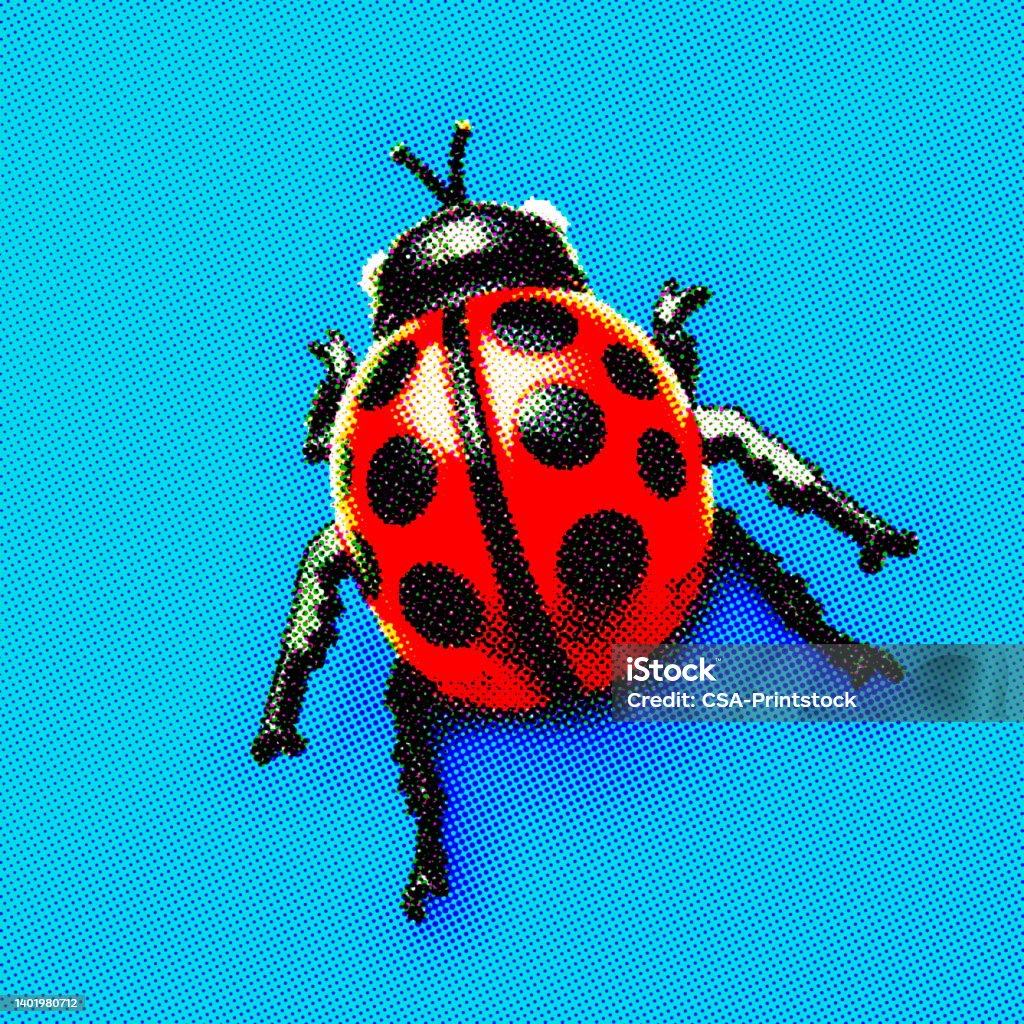 Ladybug Texture Blue Ladybug Stock Illustration - Download Image Now - Blue Background ...