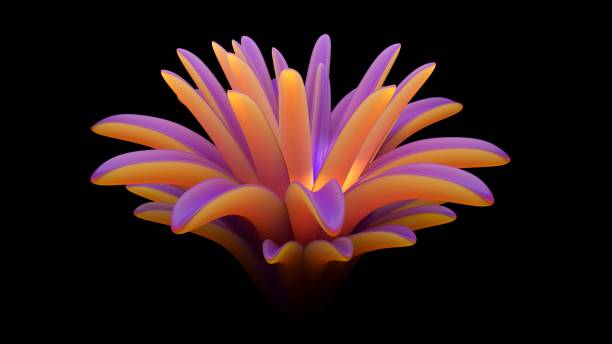 istock opening blooming flower on a black background 3d-rendering 1401982008