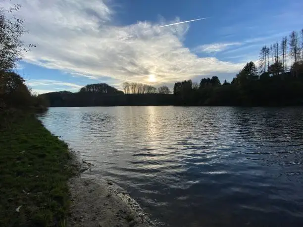 View from the shore to the Diepentalsperre near Leichlingen