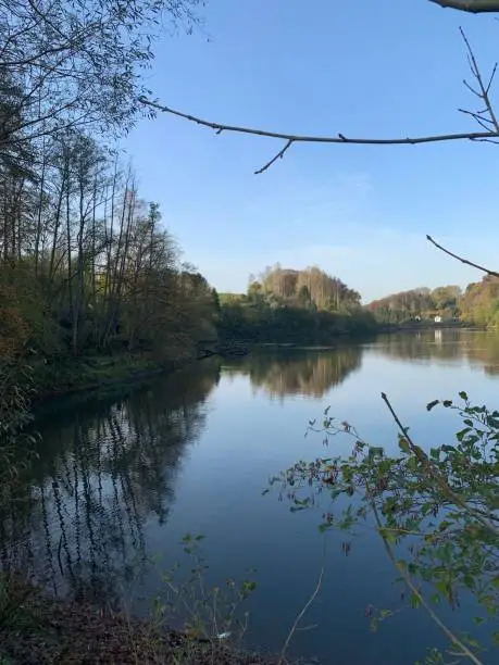 View from the shore to the Diepentalsperre near Leichlingen