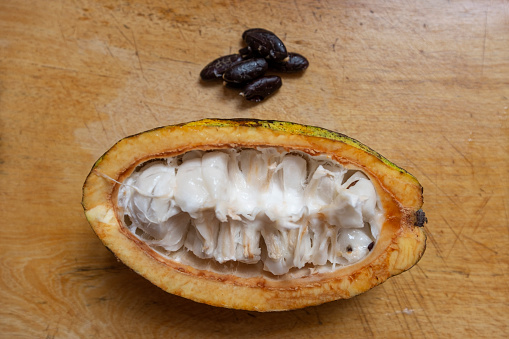 Cacao Fruit Cut In Half