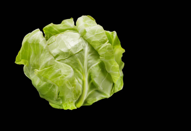 istock young green cabbage is healthy and rich in vitamins on a black background 1401986683