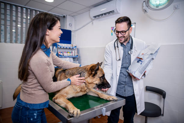 Veterinary Assistant Program in Halifax 