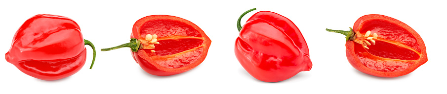 Habanero chili red hot pepper isolated on white background. clipping path