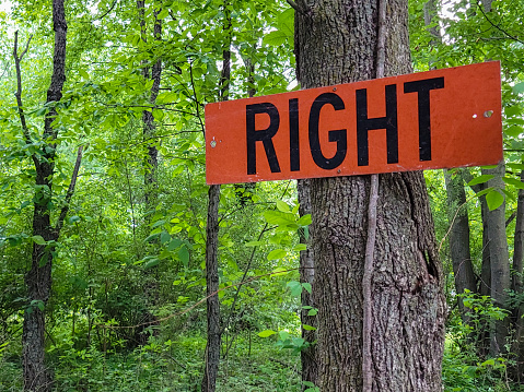 Bright orange wooden sign  with right text on a tree trunk in green forest
