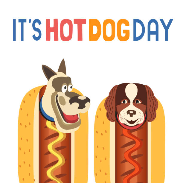 lustige hunde in hot dog süße vektor-illustration - wearing hot dog costume stock-grafiken, -clipart, -cartoons und -symbole