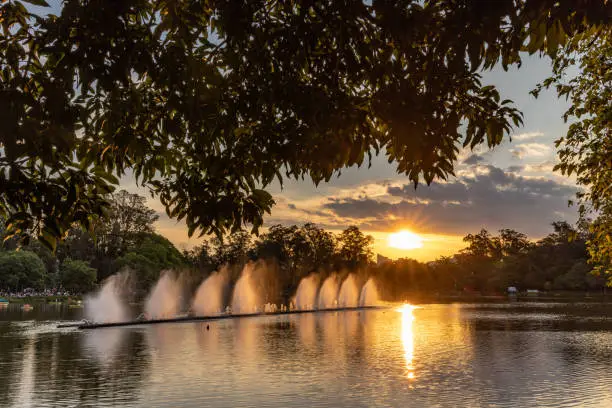 Sunset in Ibirapuera park with its trees and lake