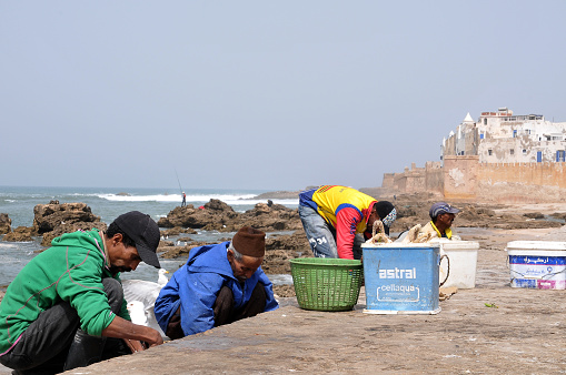 Essaouira, Morocco - March 24, 2012: Fishermen cleaning fish behind the harbor shore walls