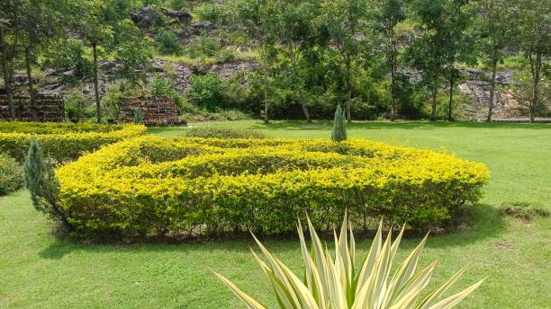 istock flower garden 1401999138