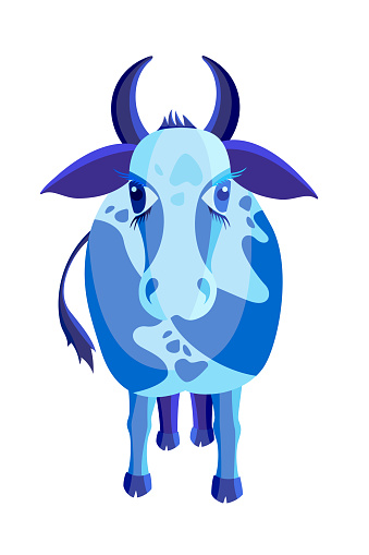 Blue bull vector illustration on white background, front view. Farm horned animal, cattle.