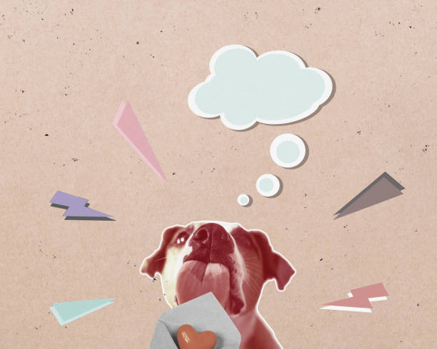 Messaging, text bubbles, copy space of love texting, cute funny dog sending Valentine