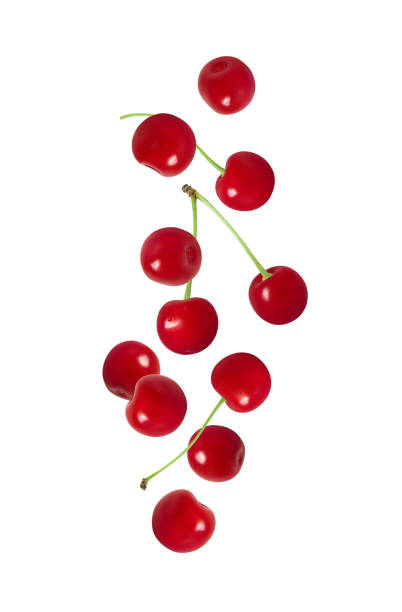 istock Falling cherry isolated on a white background. Flying red ripe berries. Cherries flying down. 1402009354