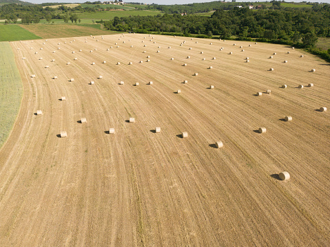 Aerial view of crop wheat balls of straw in a field. Landscape drone shot after wheat harvested in agriculture farm rural scene, bread production concept.